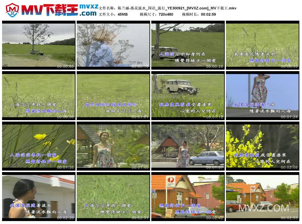 陈兰丽-落花流水_国语_流行_YE300921